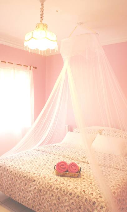 Romantic princess master bedroom (bathroom attached)