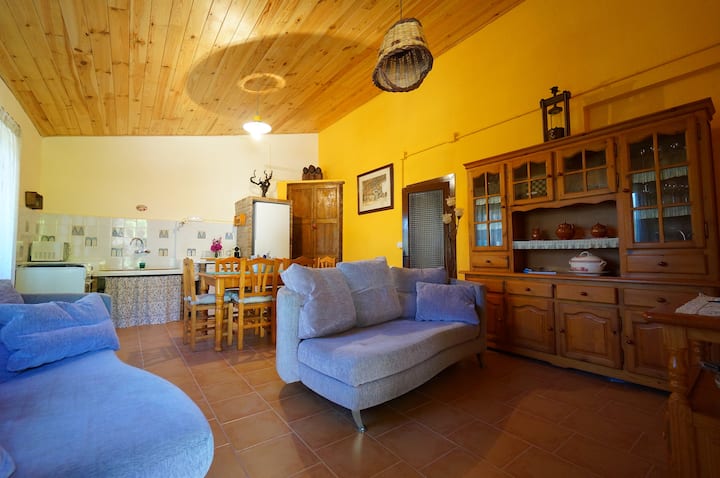 Სამზარეულო და სალონი