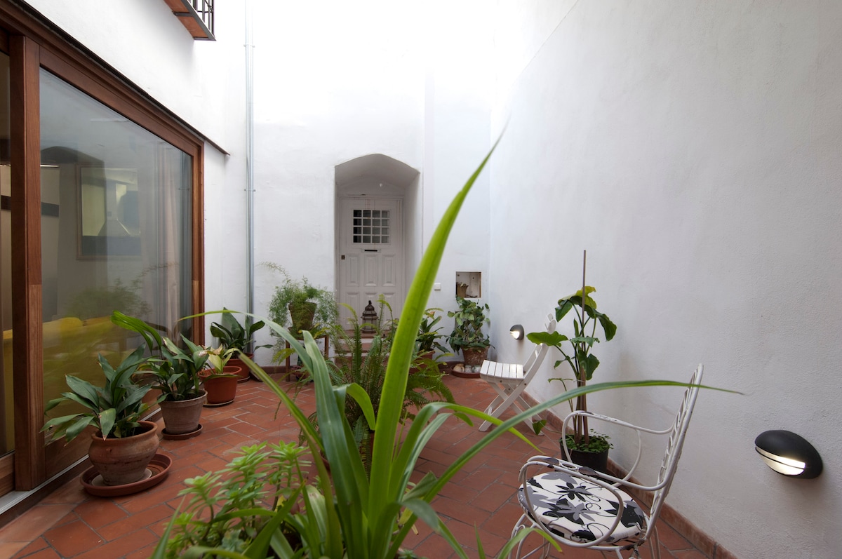A central patio features terracotta flooring and a variety of potted plants, creating a serene space. A decorative chair with a patterned cushion is present, and natural light is softly diffused from the surrounding white walls, enhancing the tranquil ambiance.