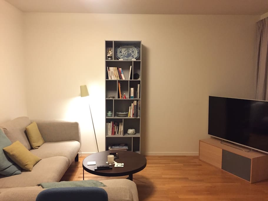 Living room with 55 TV and Netflix.
