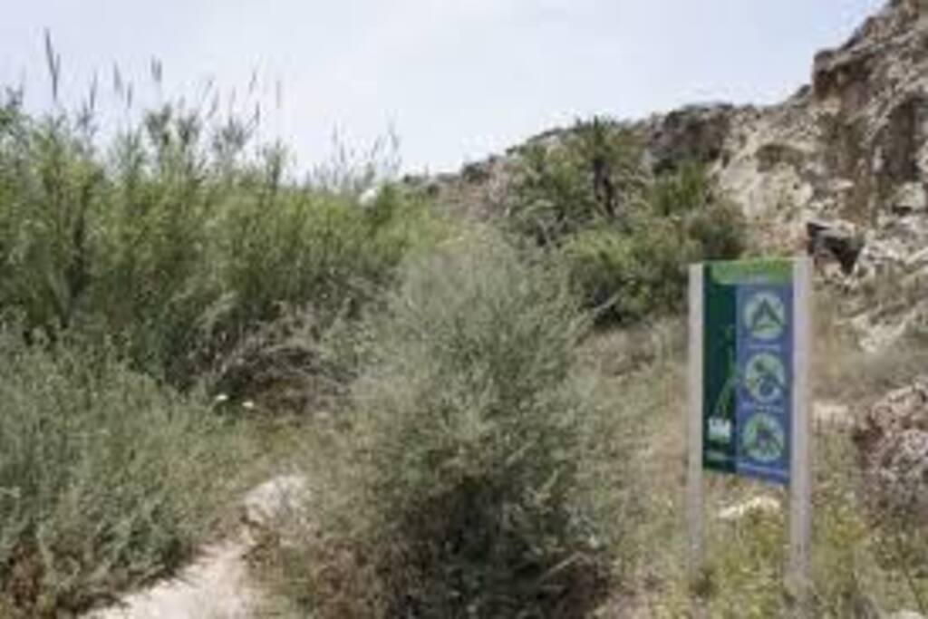 Paraje El Ajauque