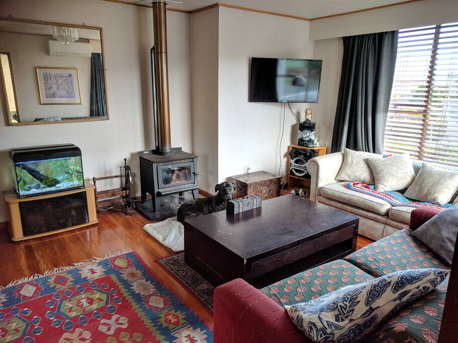 Main living area, fire is pretty much always on when cold! (have a heat-pump as well). And fish!