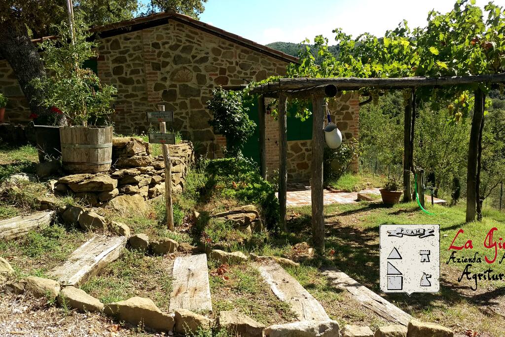 Apartment Pietravolta