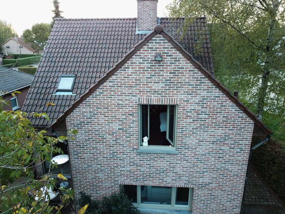 Back view.