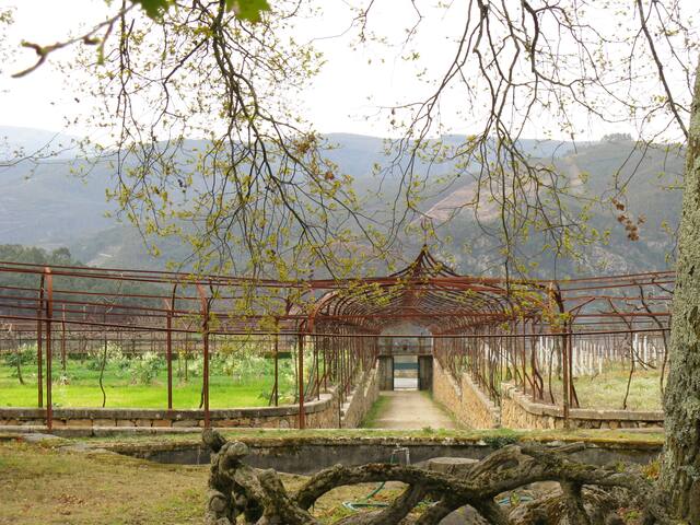 Vila Guiomar – Casa da Eira gallery image 5