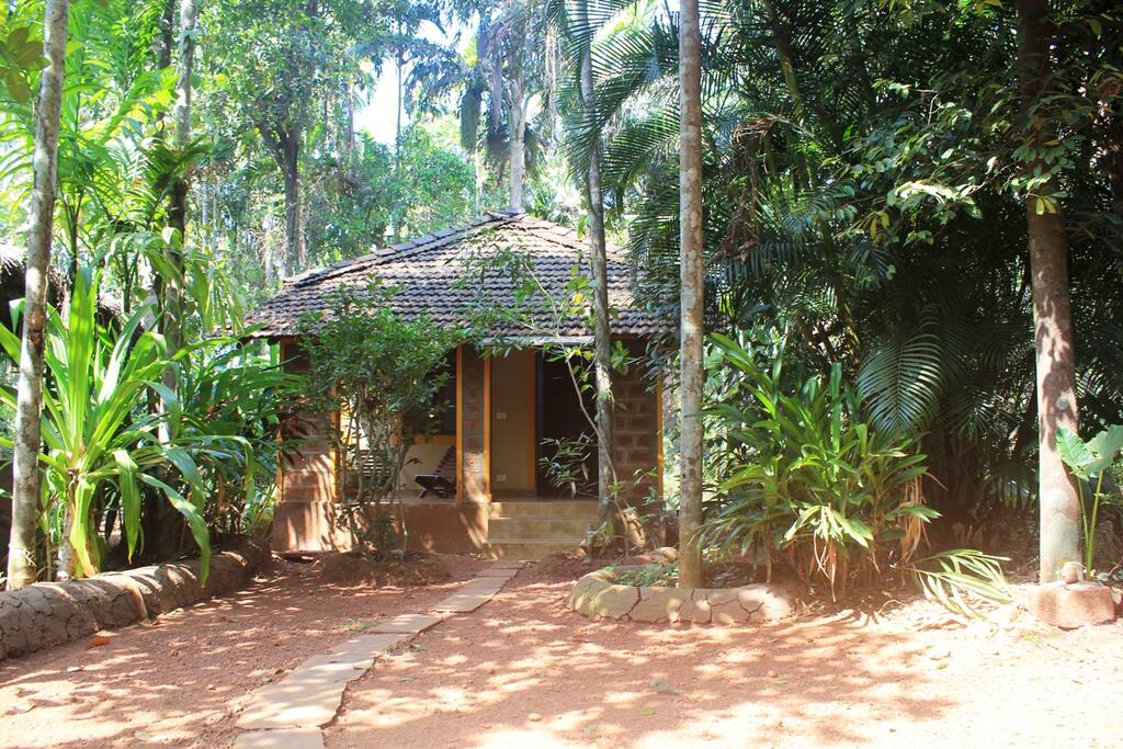 The cozy cottage