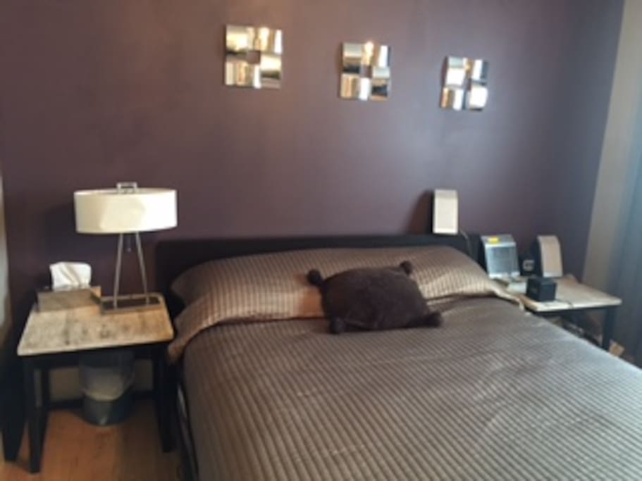 Bedroom- Queen bed