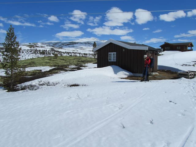 Cute cabin in Rondane by Høvringen.