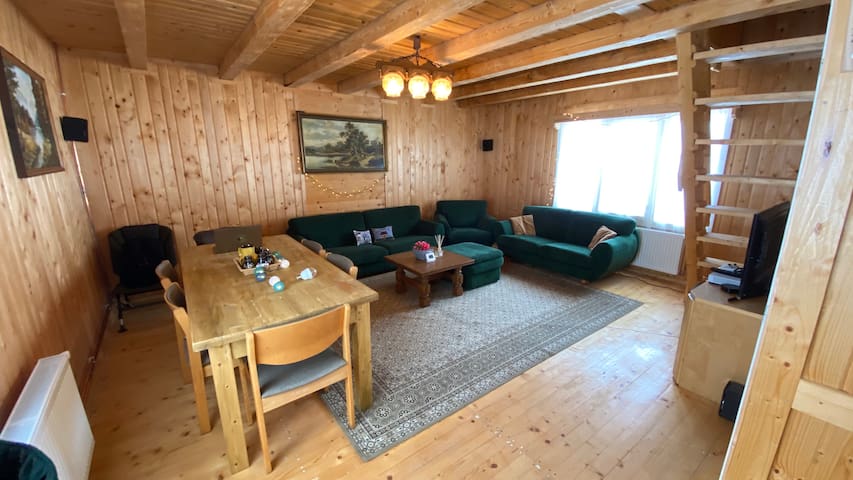 Cosy wooden cabin in the Apuseni mountains