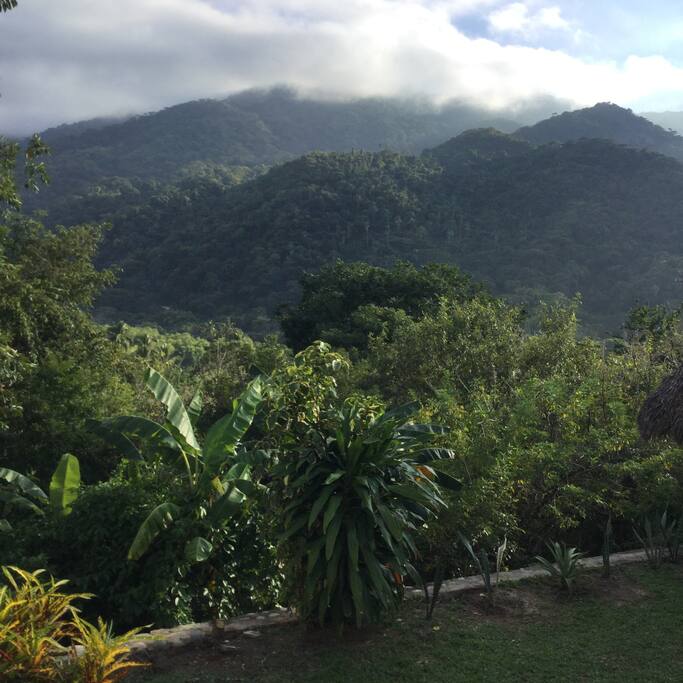 Mountain view from the garden