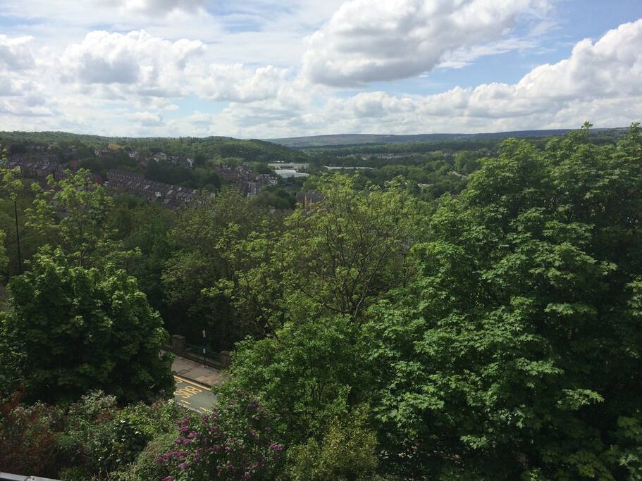 View from bedroom