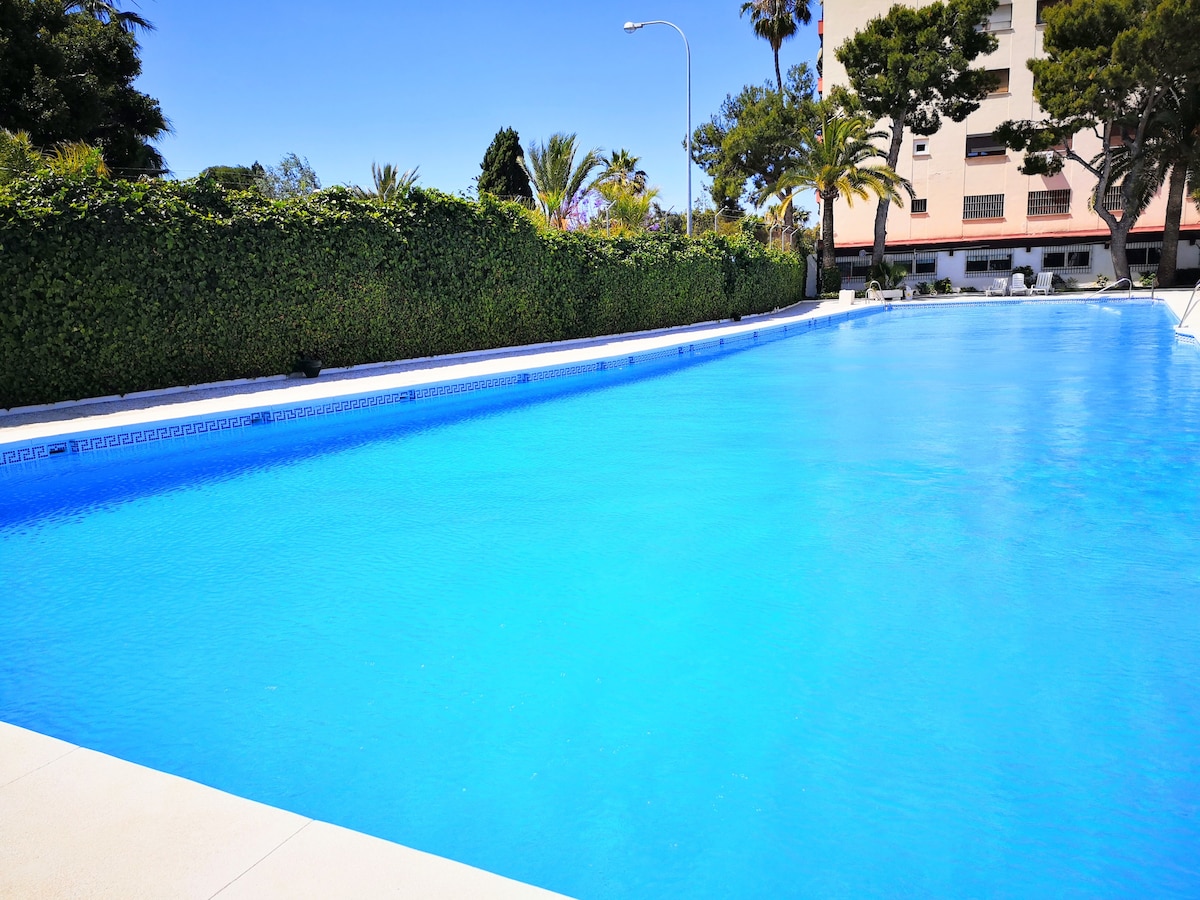 A large, inviting swimming pool spans 40 meters in length, surrounded by lush greenery and palm trees. The clear blue water reflects the bright sky, offering a serene space for relaxation. Lounge chairs are positioned along the edges, ready for use during warmer months.
