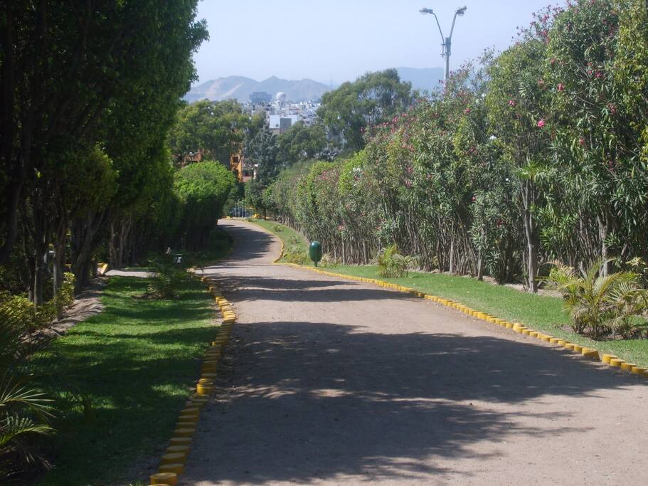 Loma Amarilla.