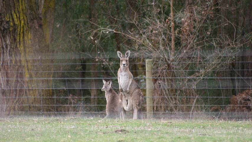 The Barn at Charlotte’s Hill. gallery image 4