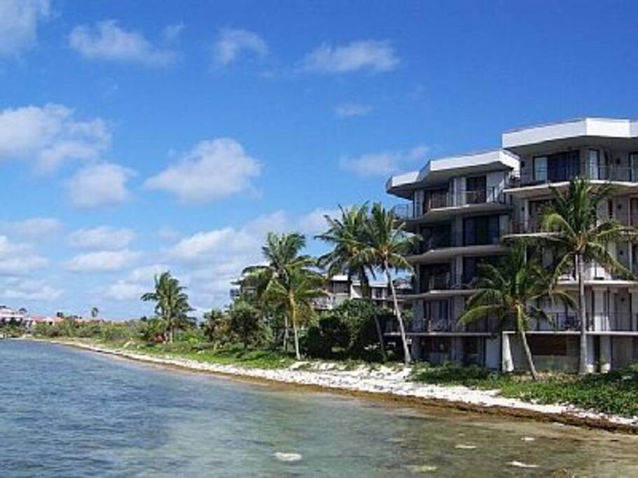 Affordable Beachfront Luxury Condo Sleeps 6 Condominiums for Rent in