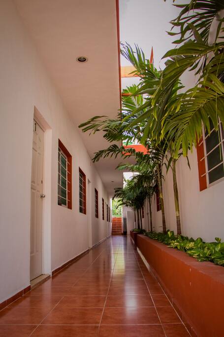 PASILLO PLANTA BAJA
