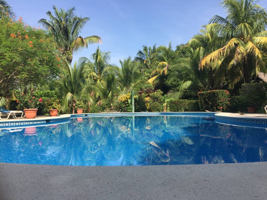 Swimming pool area