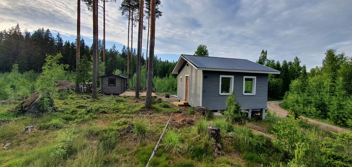 A modern summer cottage is set on a hillside surrounded by a natural forest. The structure features a gray exterior with large windows, offering glimpses of the green landscape. Nearby, an additional outbuilding can be seen, contributing to the serene environment.