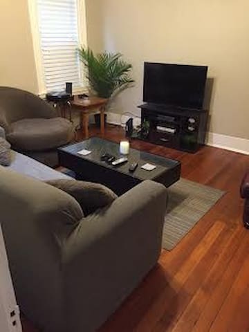 Amazing South Boston Apartment