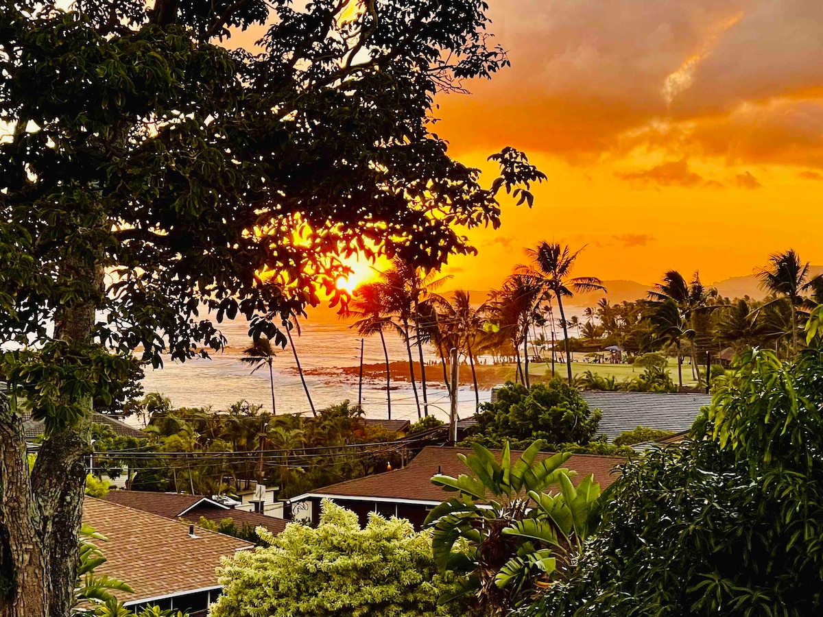 Ocean View with Fantastic Sunsets Apartments for Rent in Koloa