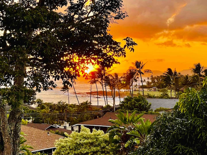 Ocean View with Fantastic Sunsets Apartments for Rent in Koloa