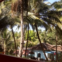 Lush coconut trees frame a view of traditional homes nestled among greenery. Sunlight filters through the leaves, creating a serene atmosphere that reflects the natural beauty of the surroundings.