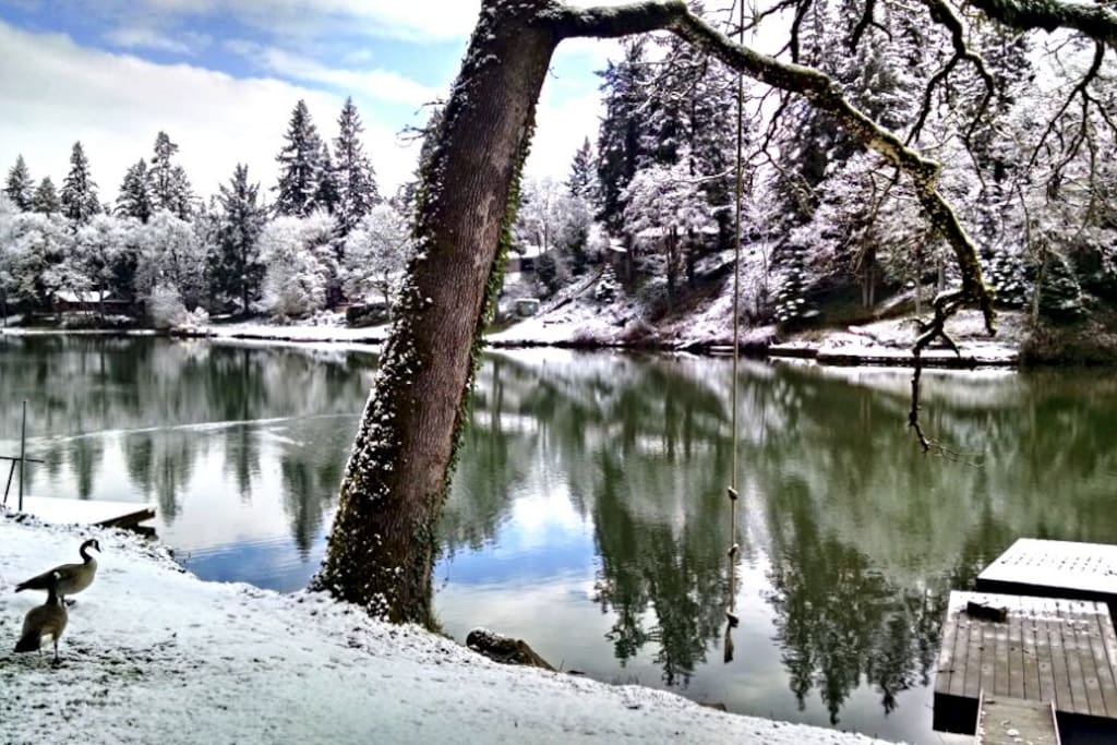 Our backyard, River Forest Lake in February.