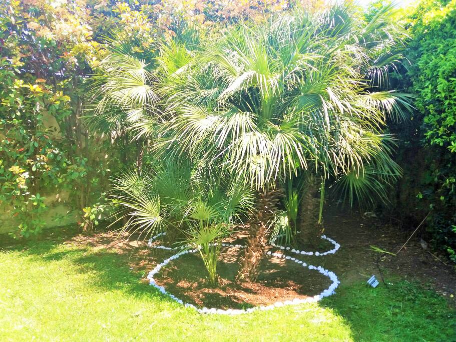 lussureggiante giardino