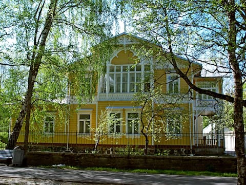 Historic Carl Ammende summer villa - best location