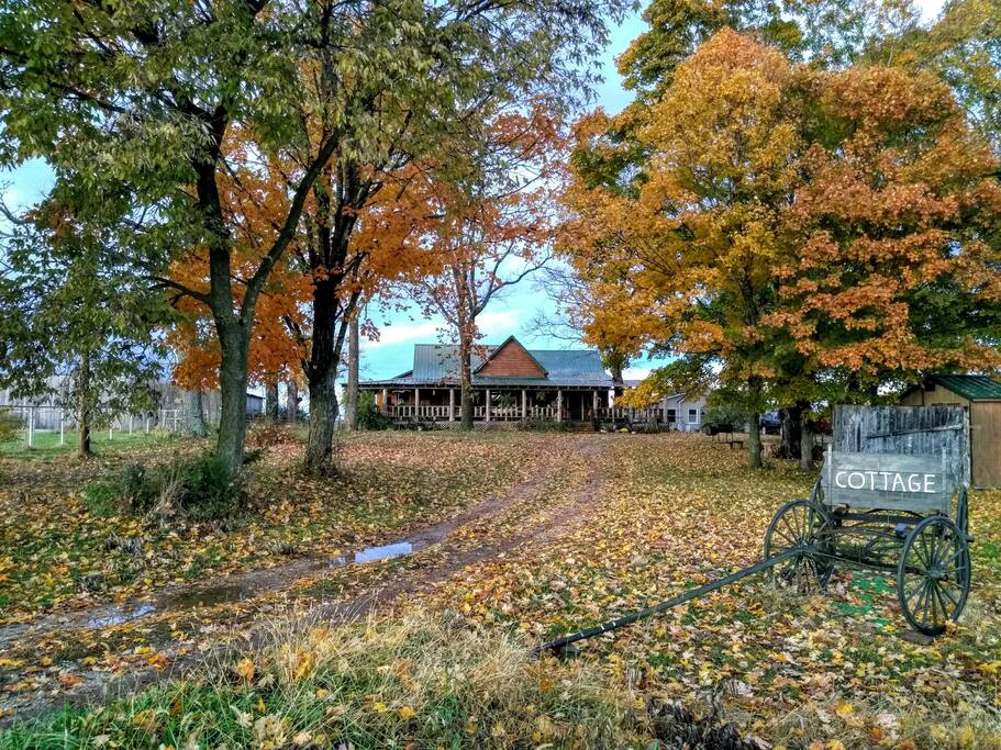 Our guest cottage sits next door to our log home.