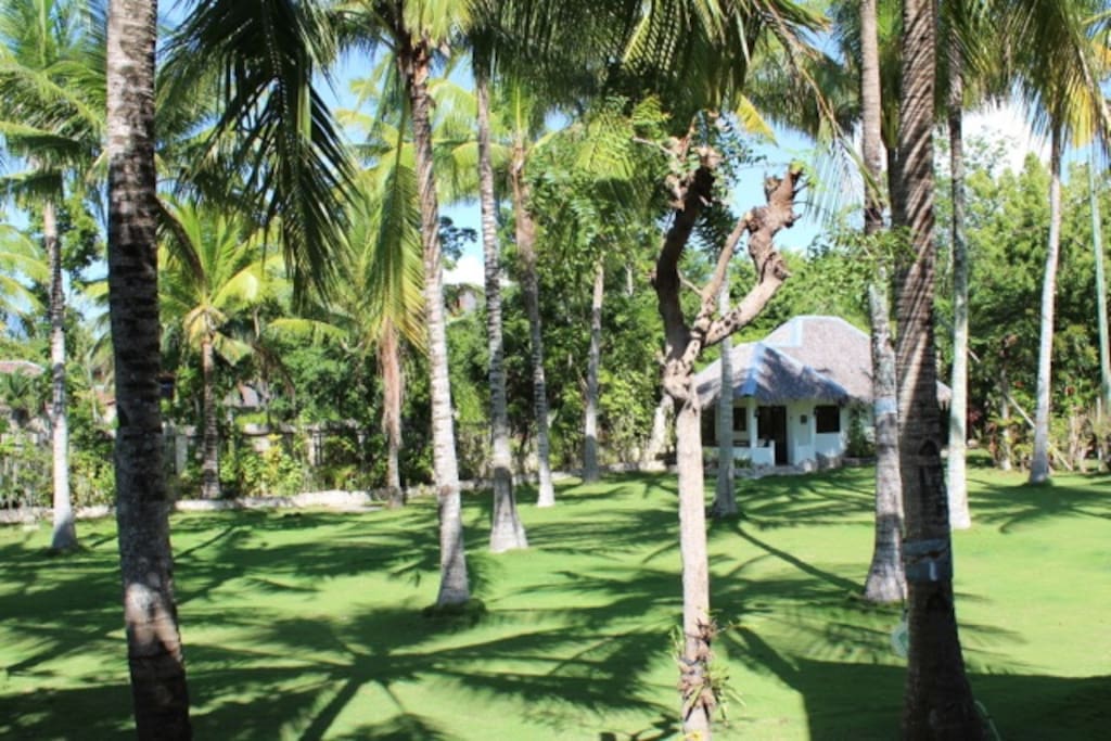 Guesthouse hidden in the coconut garden of White Beach Oceanfront House
