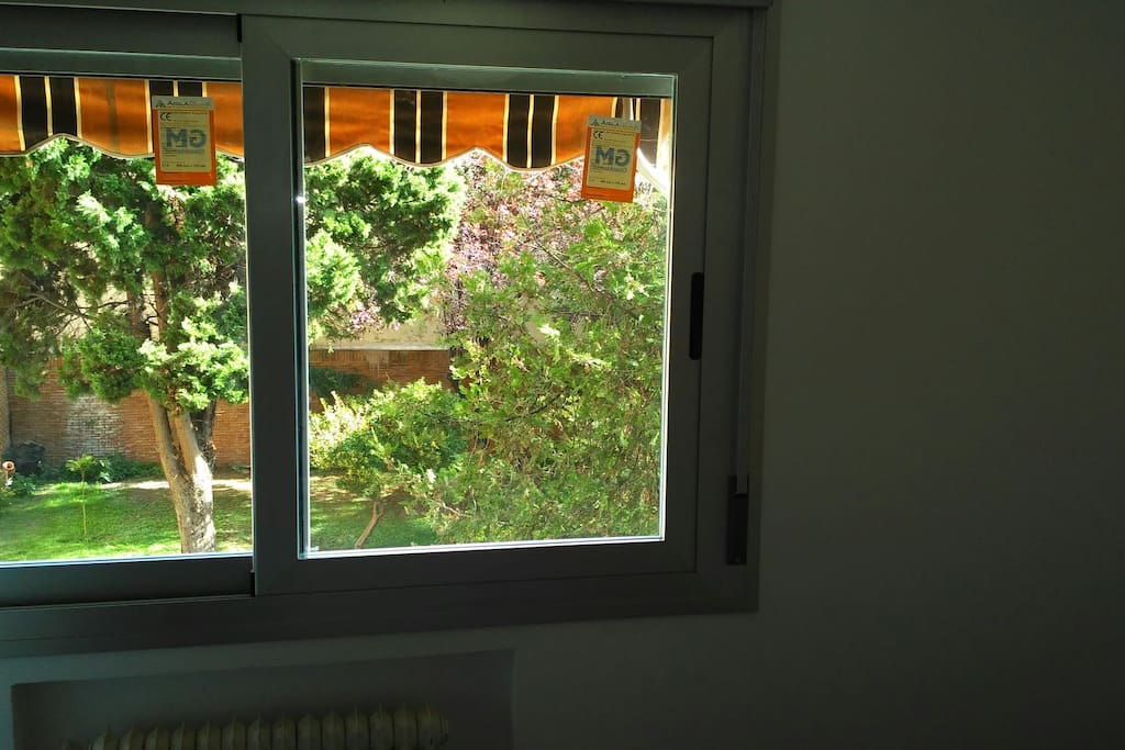 Ventana y vistas