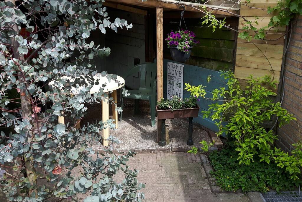 Part of the garden