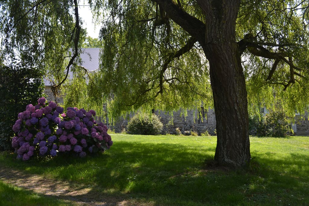 la cour à l'entrée de la propriété