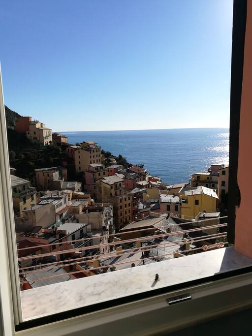 the window