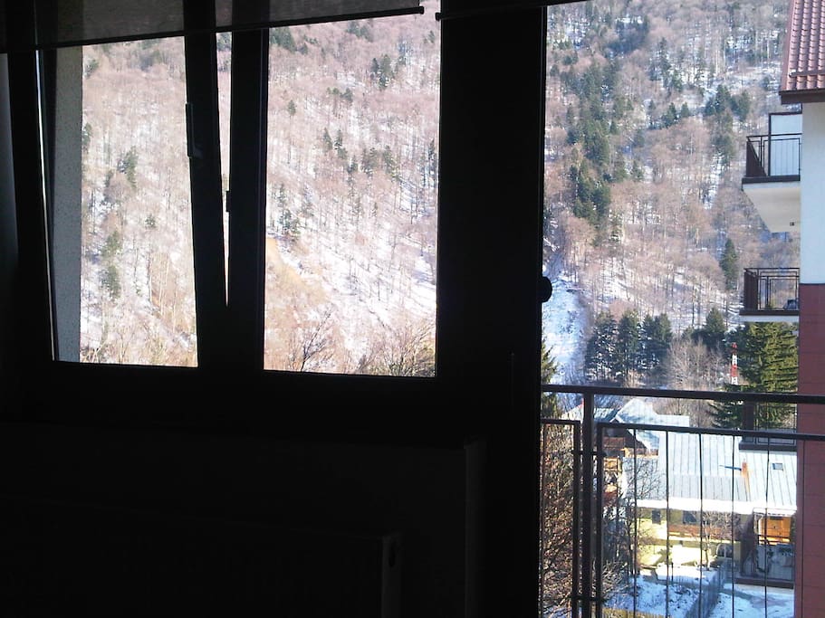 Mountain view (from Living)