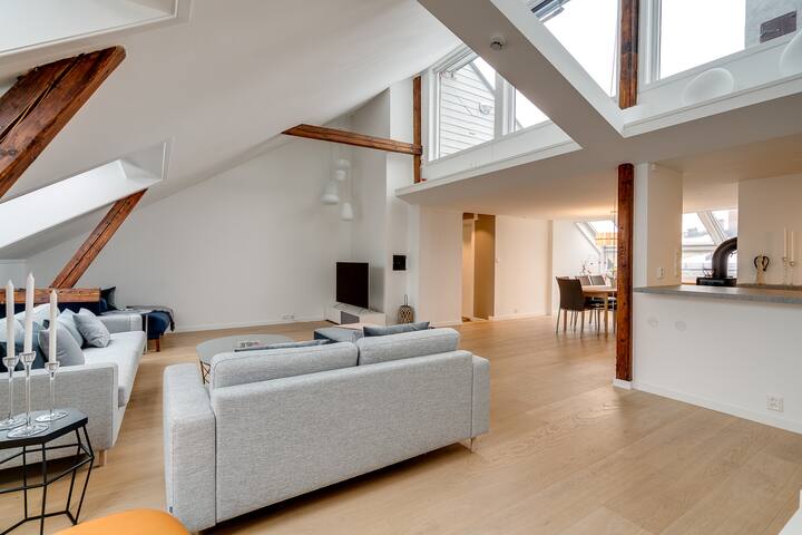 Penthouse, In the heart of Oslo City Centre gallery image 2