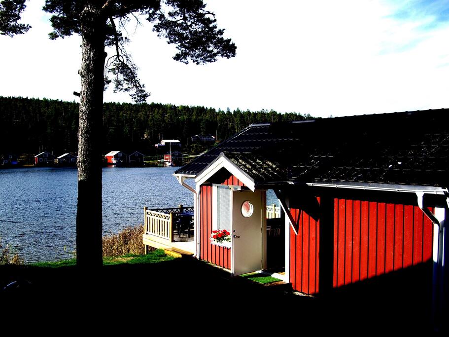 Exteriör