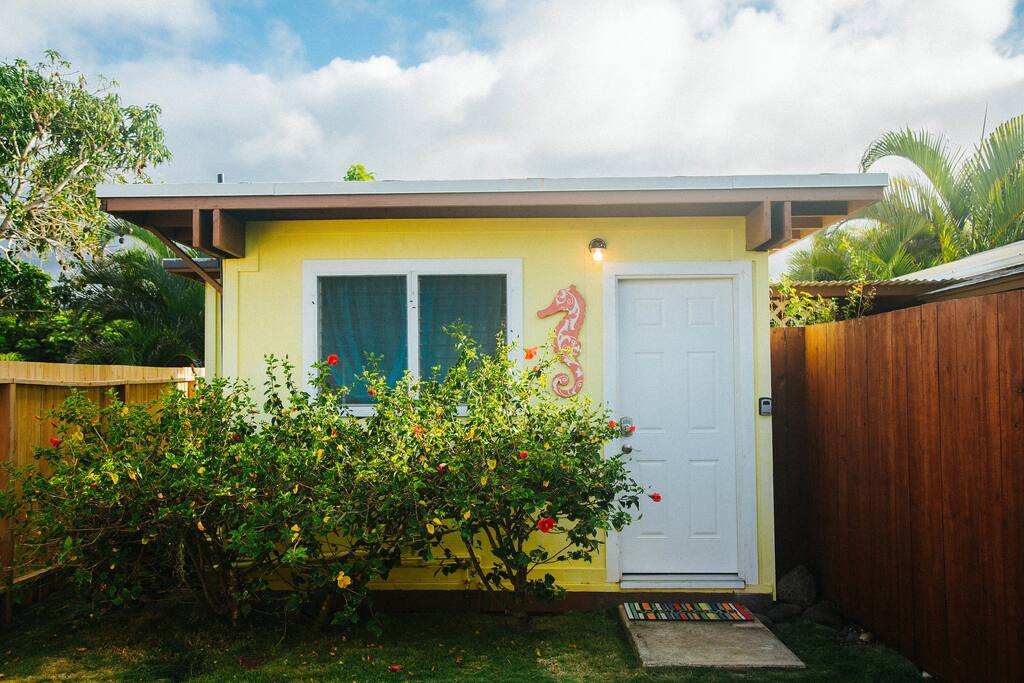 Our lil Seahorse Bungalow