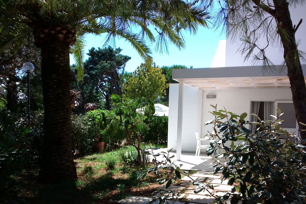 Patio con tettoia
