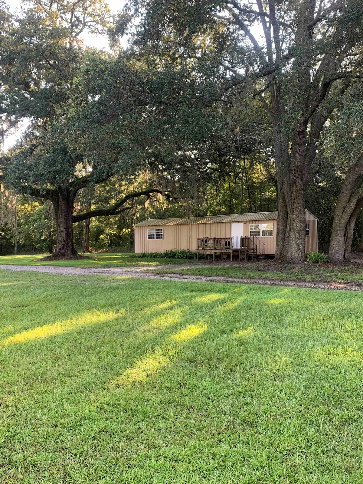 A cabin is situated beneath large Live Oak trees, surrounded by a well-maintained grassy area. The structure features several windows, and a wooden deck is visible at the entrance. Soft and dappled light filters through the trees, creating a serene outdoor setting.