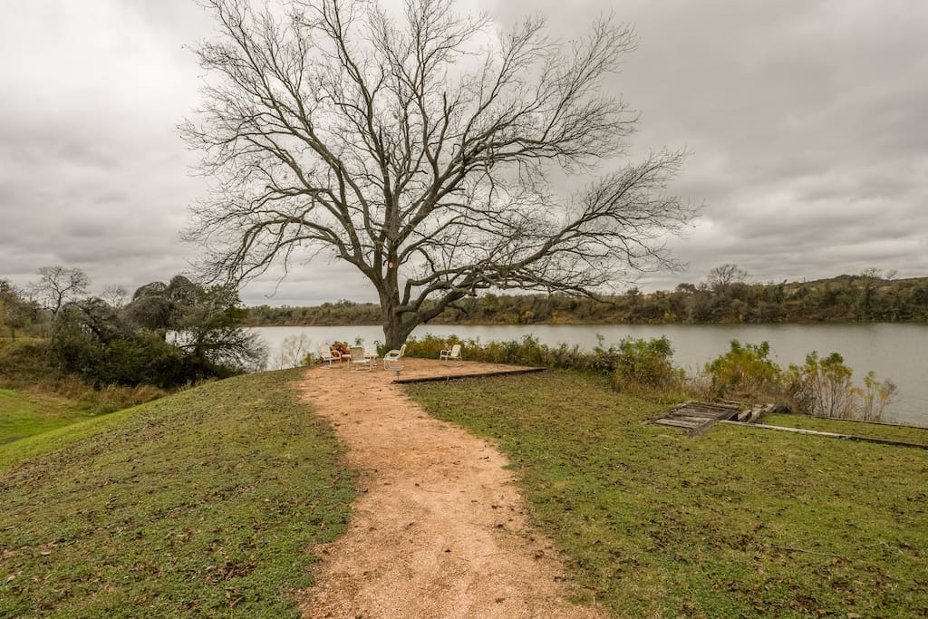 100+ year old pecan that is our lakefronts keeper
