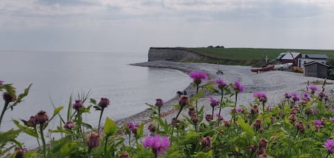 Strandvejen's oasis
