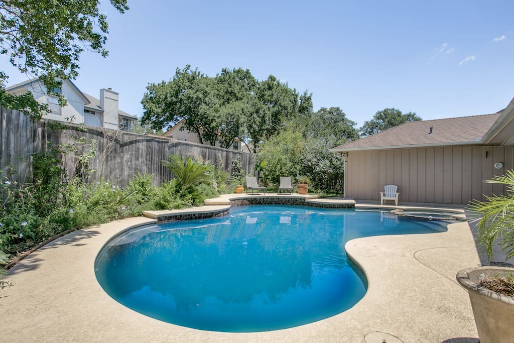 Swimming Pool and little backyard