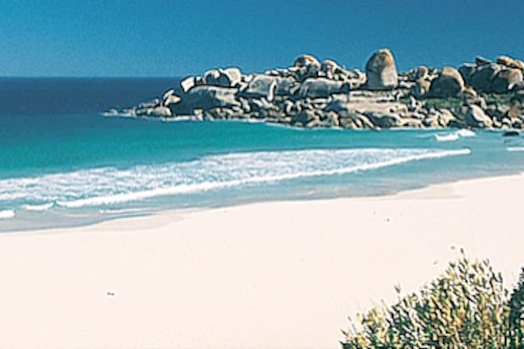 Pristine Camps bay Beach across from the apartment