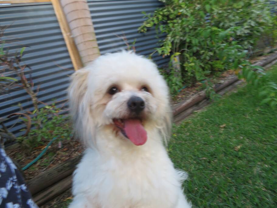 This is Dessie. The happy face that will greet you