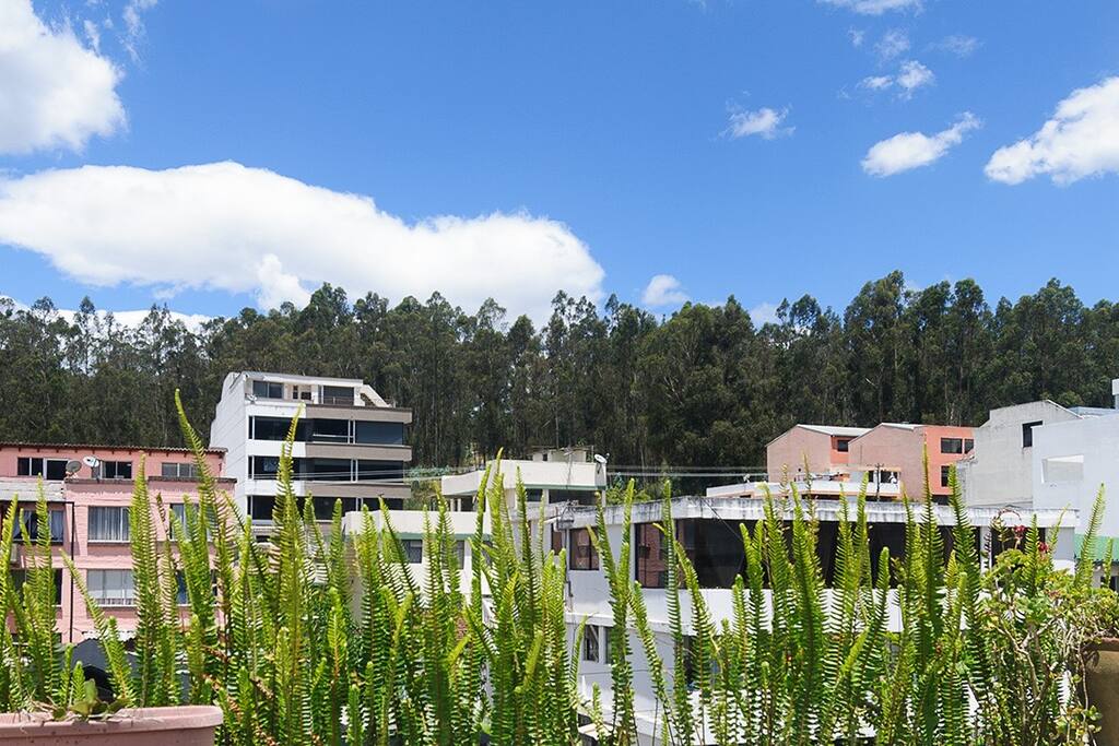 Vista a parque Metropolita