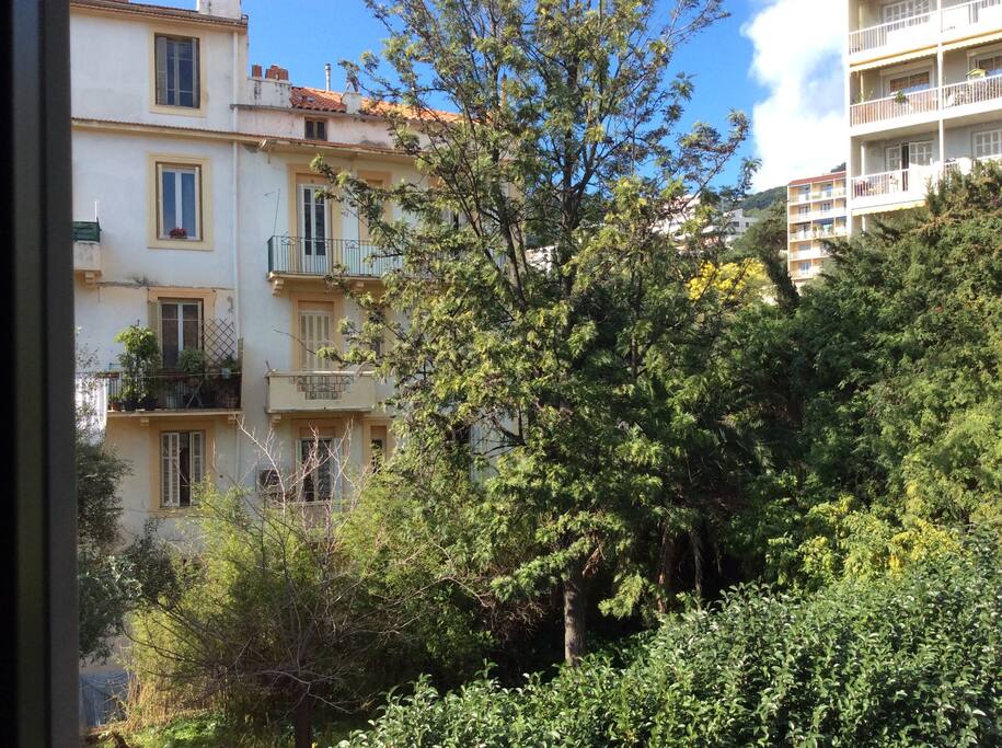 Vue jardin
