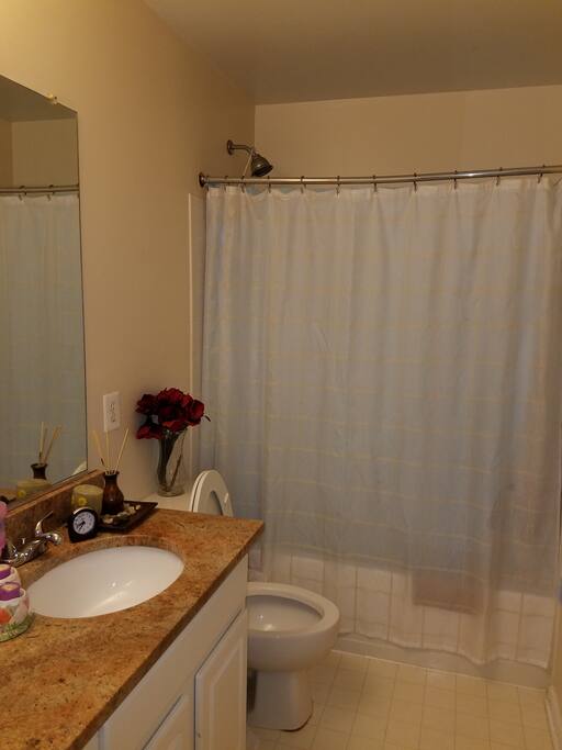 The Bathroom