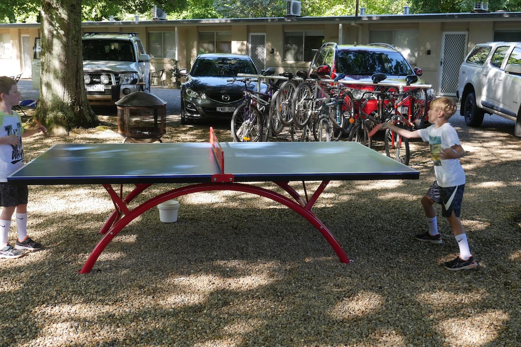 We have 2 outdoor table tennis tables